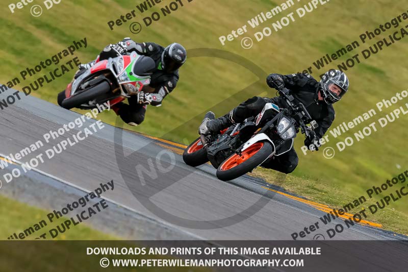 PJ Motorsport 2019;anglesey no limits trackday;anglesey photographs;anglesey trackday photographs;enduro digital images;event digital images;eventdigitalimages;no limits trackdays;peter wileman photography;racing digital images;trac mon;trackday digital images;trackday photos;ty croes